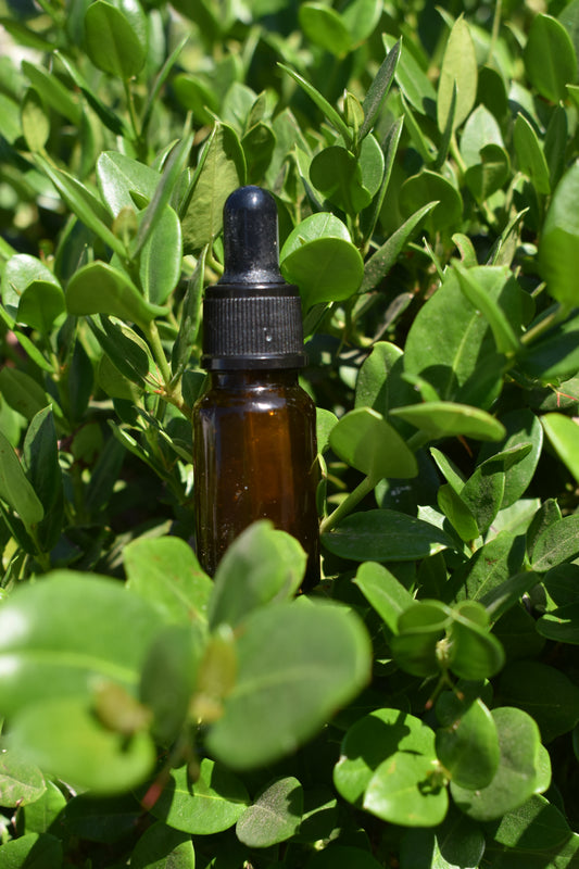 Anointing Oil